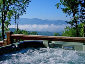 View-from-Hottub-2